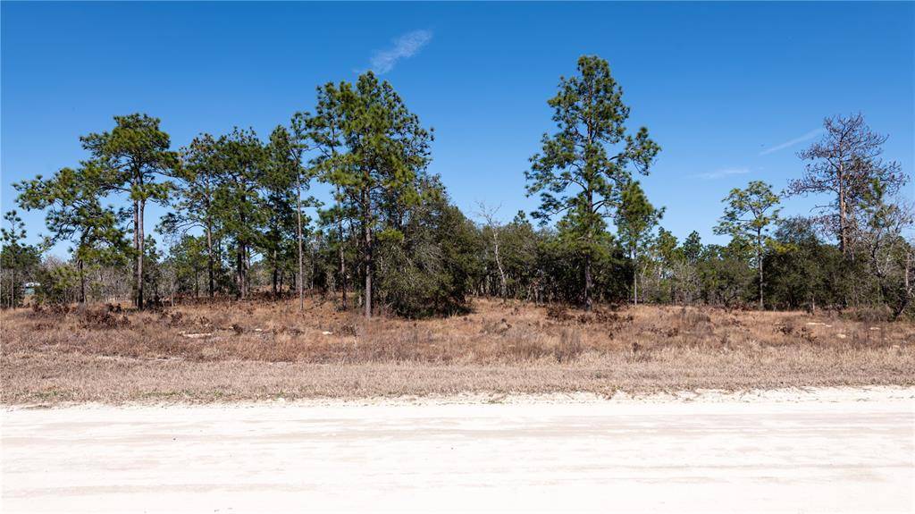 Morriston, FL 32668,00 SE 73RD