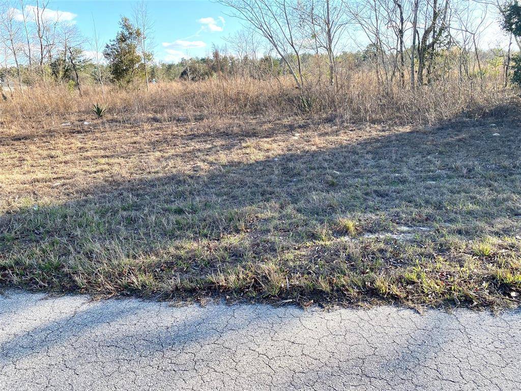 Ocala, FL 34473,Lot 8 SW 151ST STREET RD