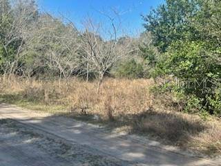 Summerfield, FL 34491,00 SE 143RD PL