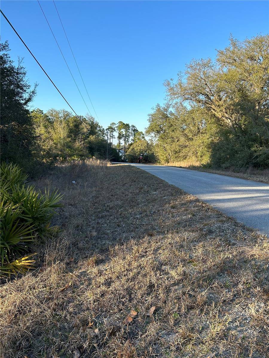 Dunnellon, FL 34431,SW SOUTH WIND CT