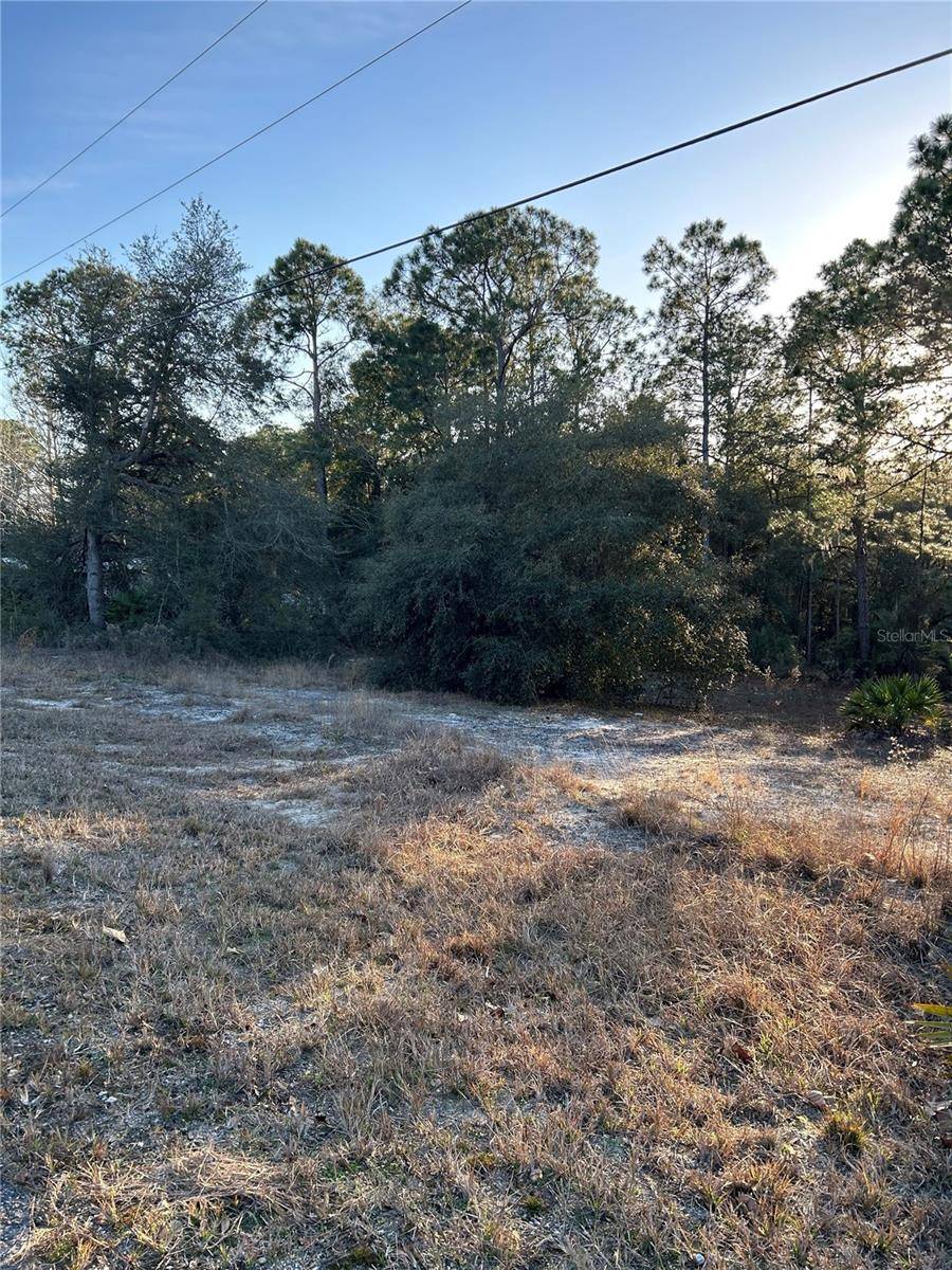 Dunnellon, FL 34431,SW SOUTH WIND CT