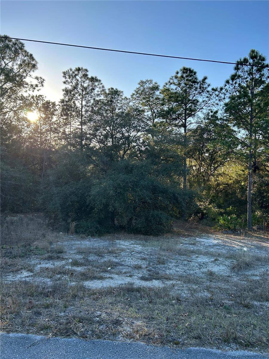 Dunnellon, FL 34431,SW SOUTH WIND CT