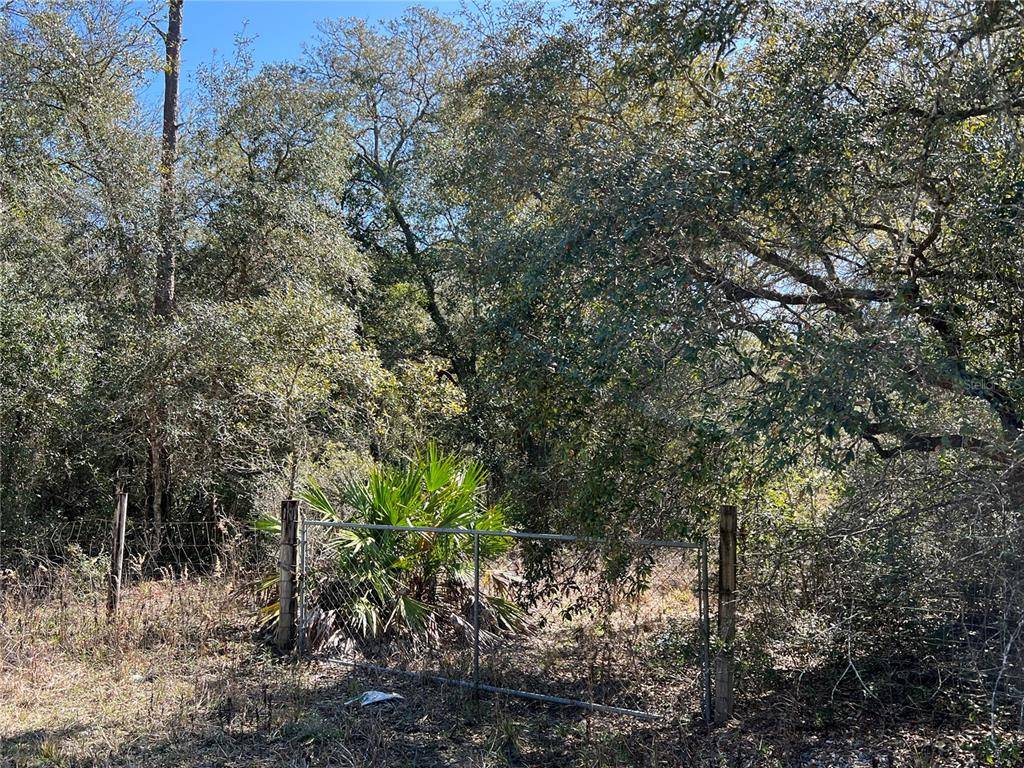 Archer, FL 32618,000 NE 131ST PL