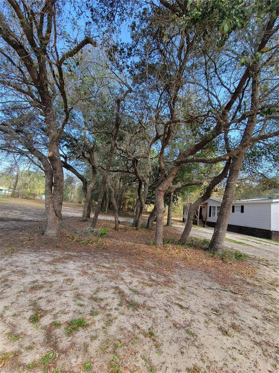 Morriston, FL 32668,2891 SE STATE ROAD 121