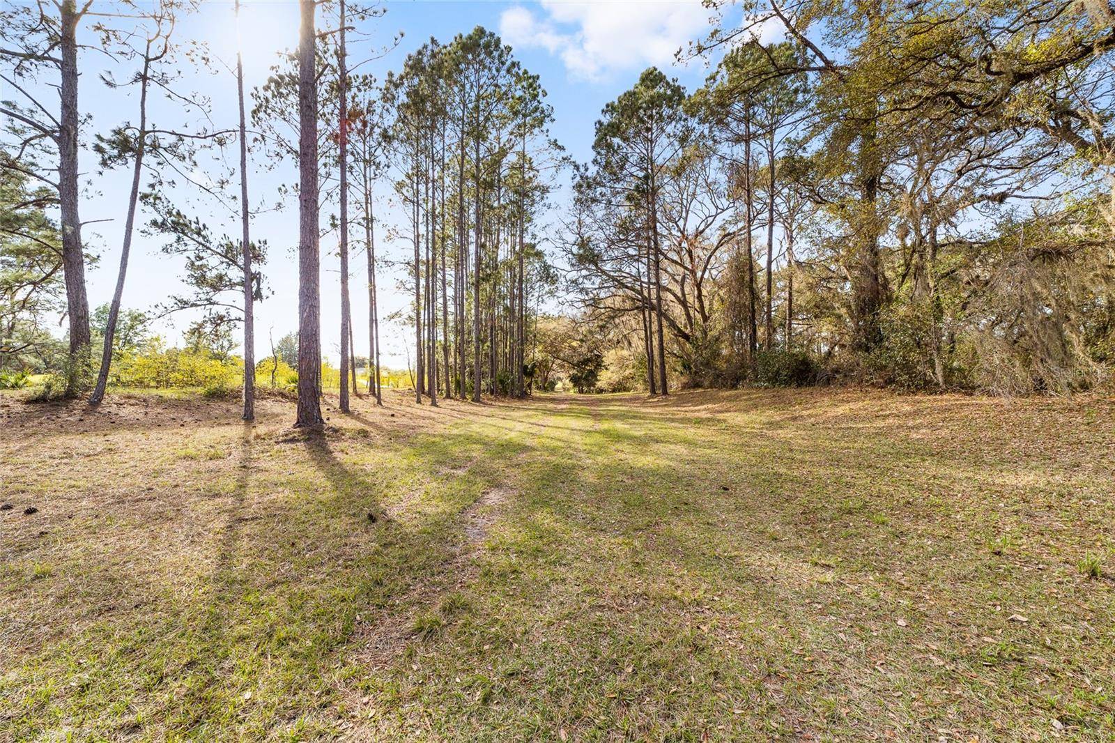 Ocklawaha, FL 32179,9000 SE 170TH AVENUE RD