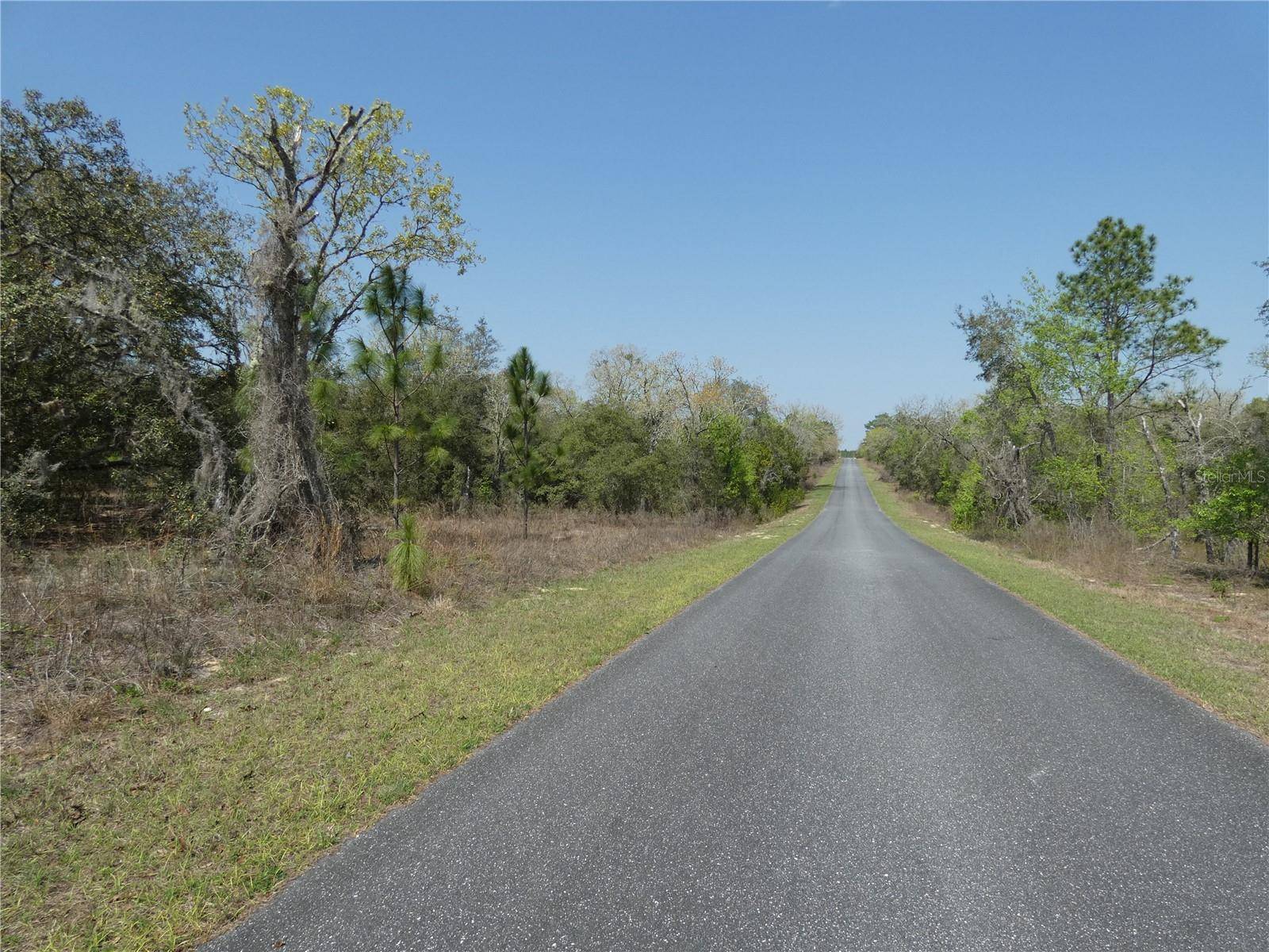 Dunnellon, FL 34431,LOT 11 SW PARADISE HEIGHTS DUNNELLON FL 34431