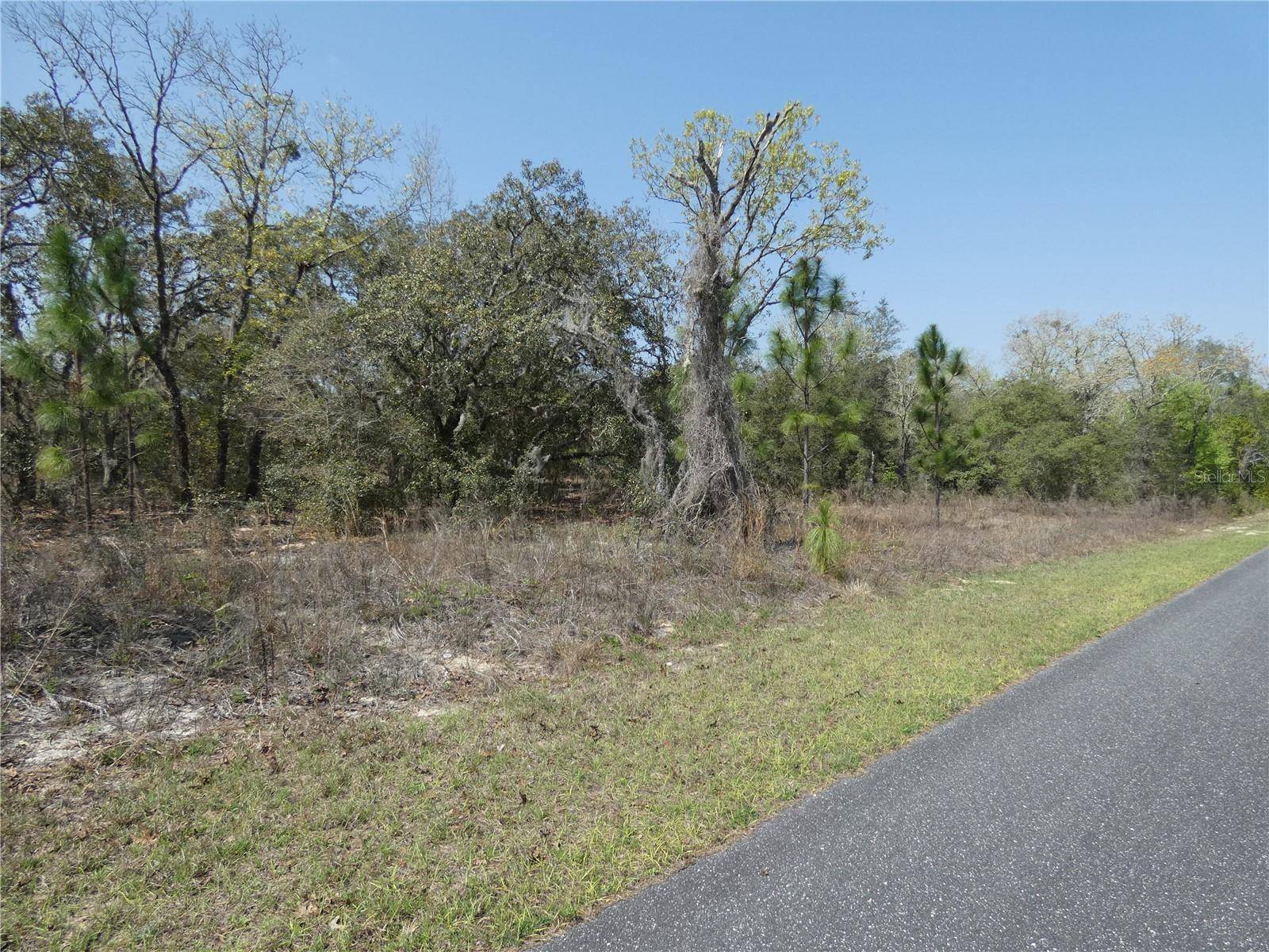 Dunnellon, FL 34431,LOT 11 SW PARADISE HEIGHTS DUNNELLON FL 34431