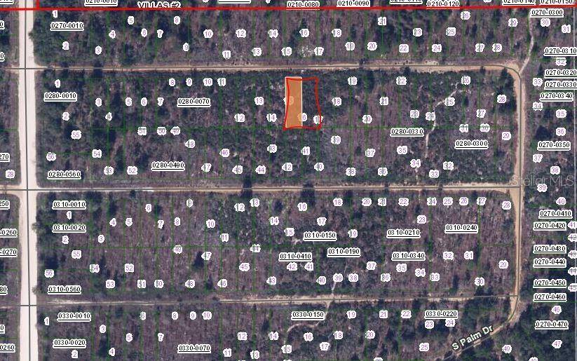 Interlachen, FL 32148,CHERRY ST