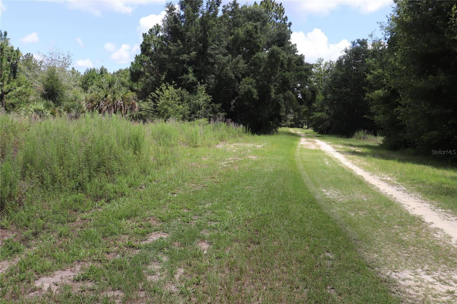 Crystal River, FL 34428,8615 N SAN FILIPPO LOOP