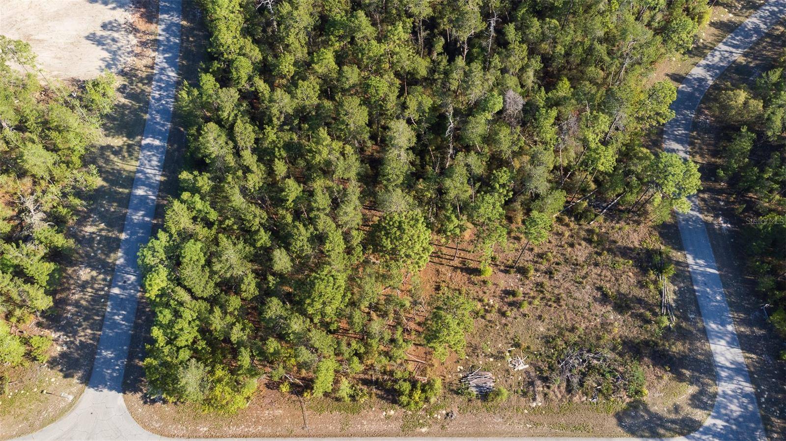 Ocala, FL 34473,TBD SW 40TH CT