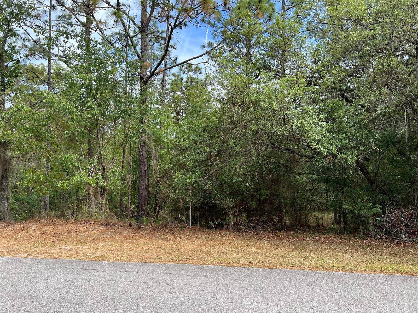 Dunnellon, FL 34431,TBD SW 211TH CIR