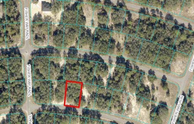 Ocklawaha, FL 32179,TBD FISHER WAY DR