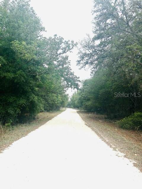 Dunnellon, FL 34432,0 SW 106TH STREET, LOT 9