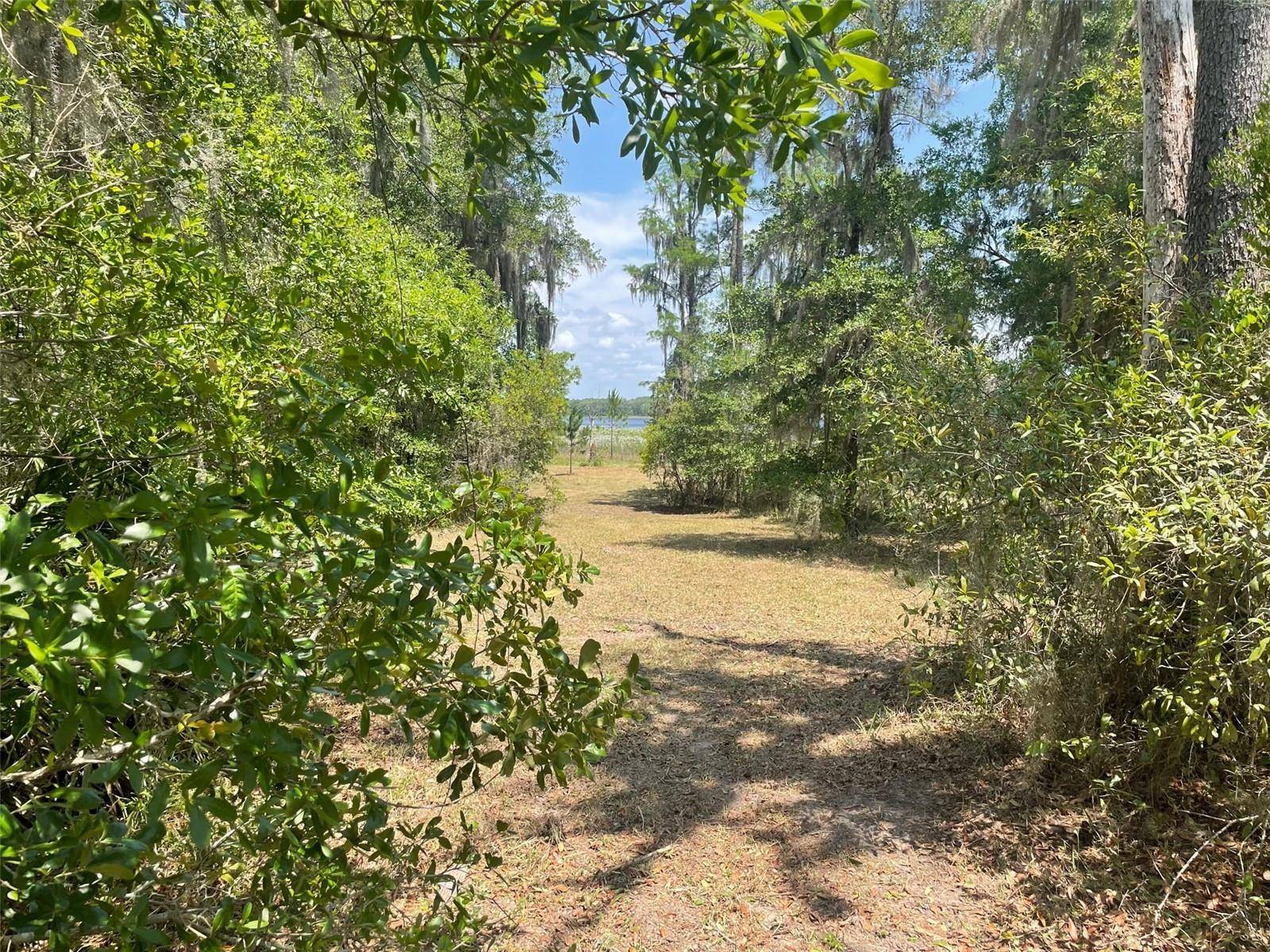 Dunnellon, FL 34431,00 SW SHOREWOOD DR