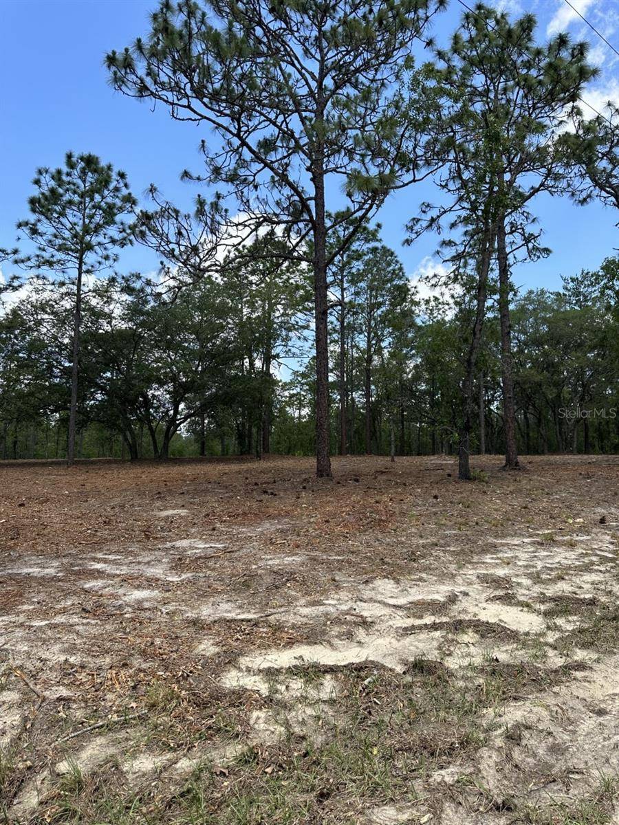 Dunnellon, FL 34432,00 SW 134TH AVE