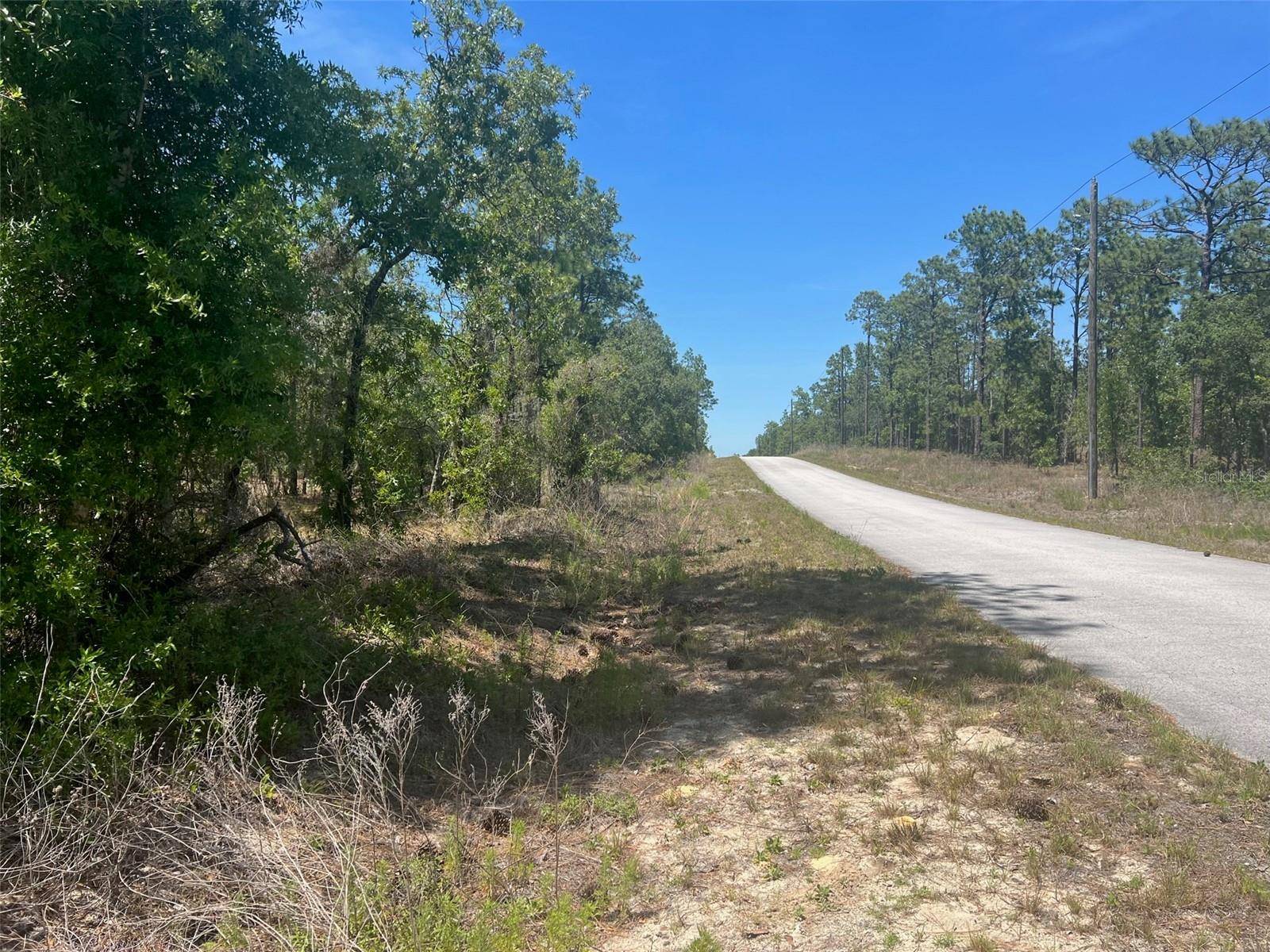 Dunnellon, FL 34431,00 SW WINDING HILLS RD