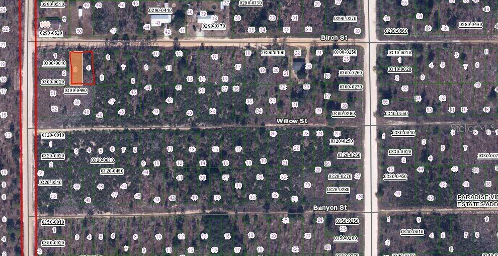 Interlachen, FL 32148,BIRCH ST