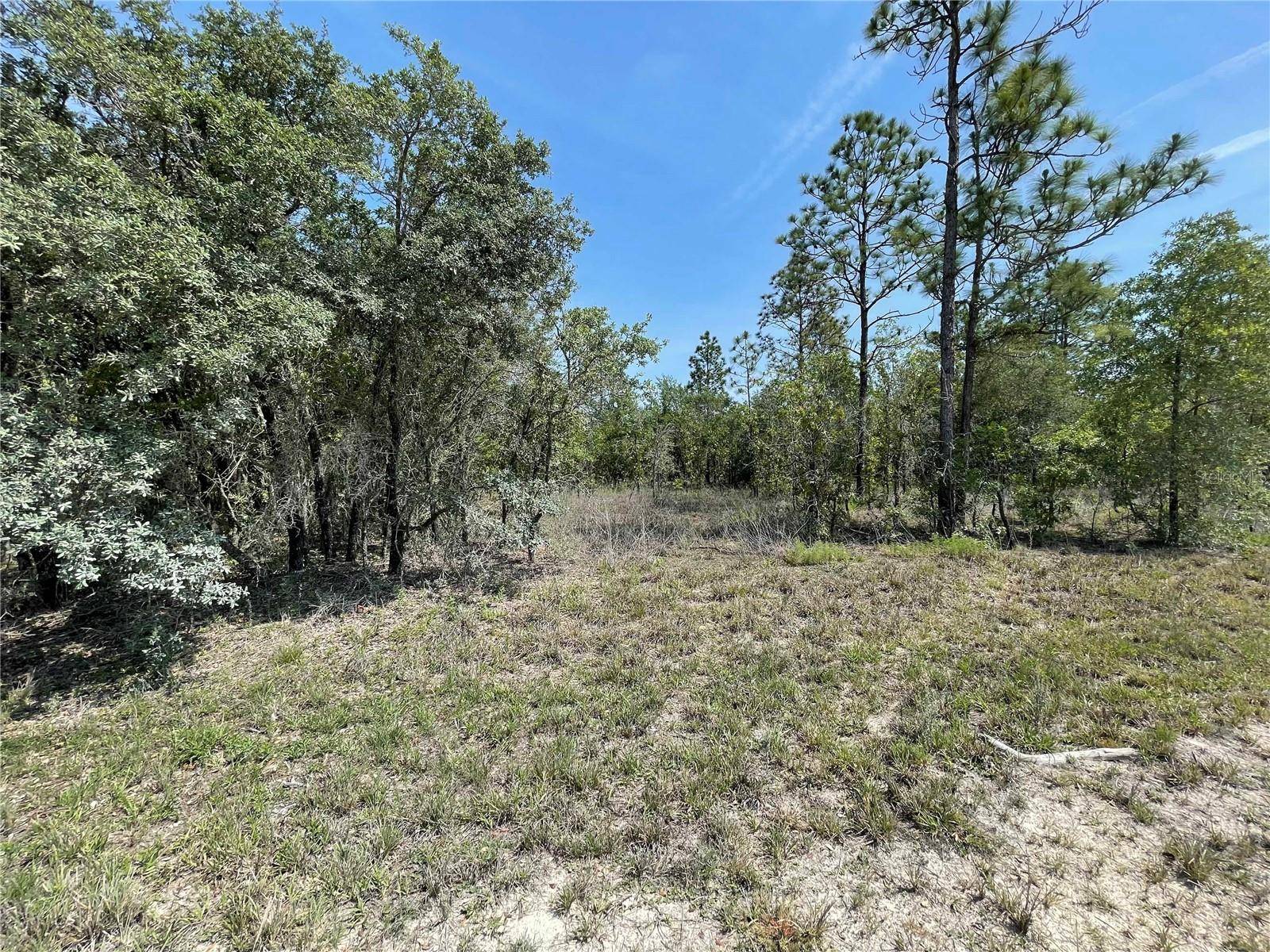 Morriston, FL 32668,Lot 3 SE 53 LN