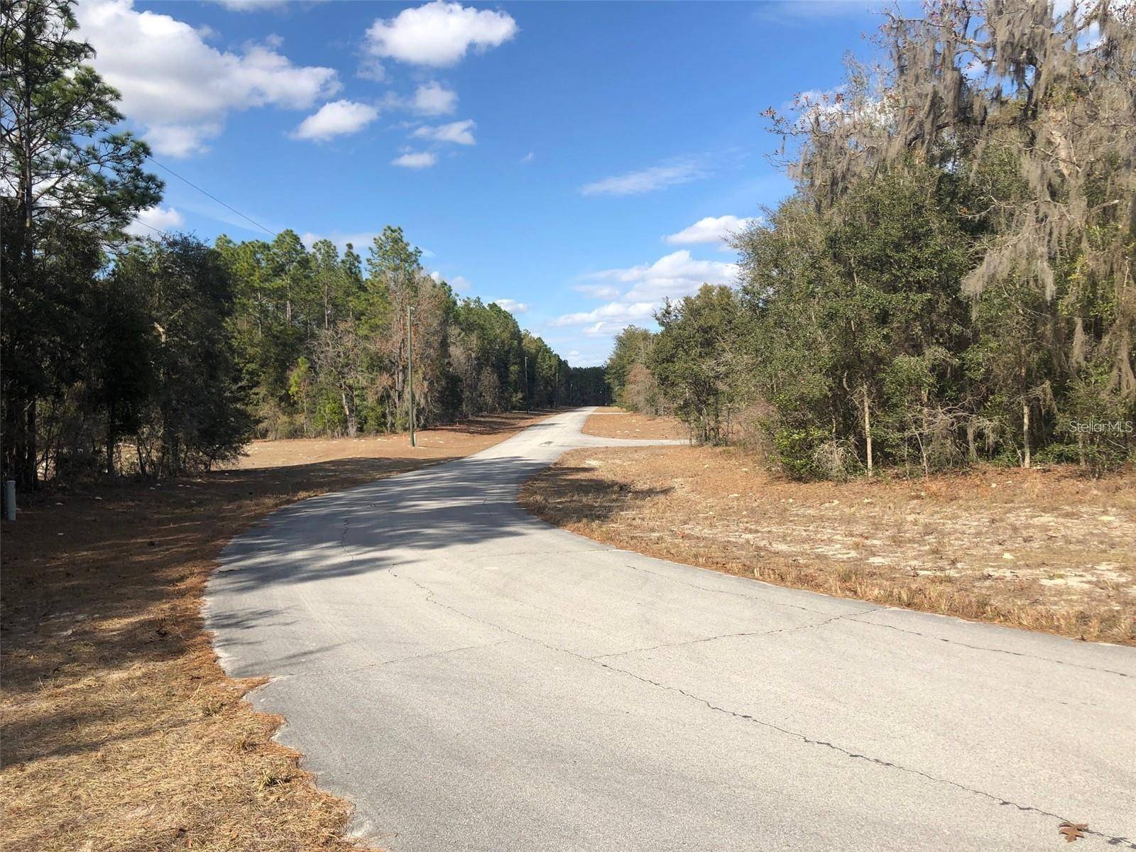 Ocala, FL 34473,TBD SW 89TH CIR #Lot 19