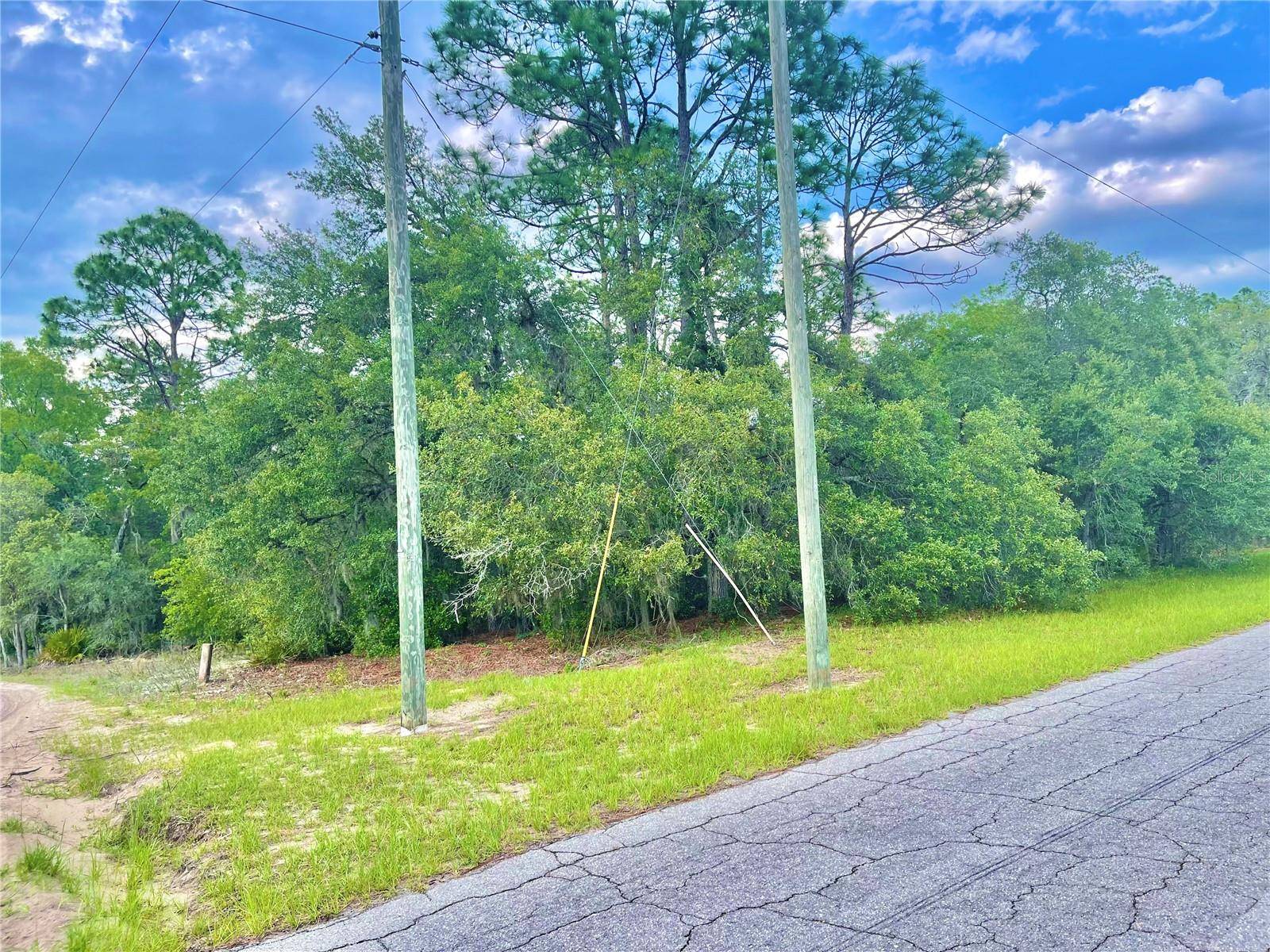 Ocala, FL 34473,TBD SW 155TH STREET RD #Lot 1