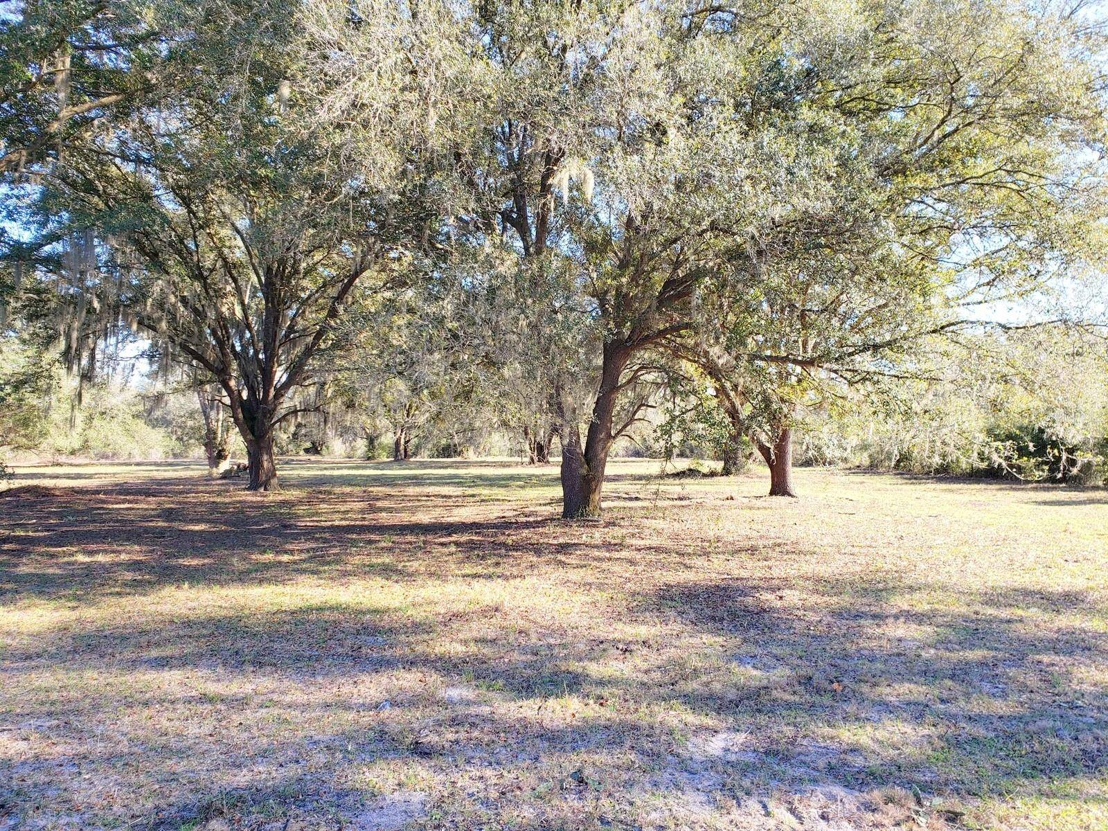 Fort Mc Coy, FL 32134,Hokkolen Lot #2 NE HWY 315