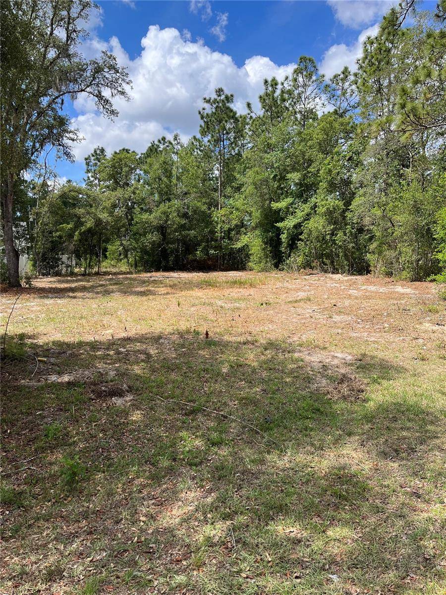 Summerfield, FL 34491,00 SE 161ST PL