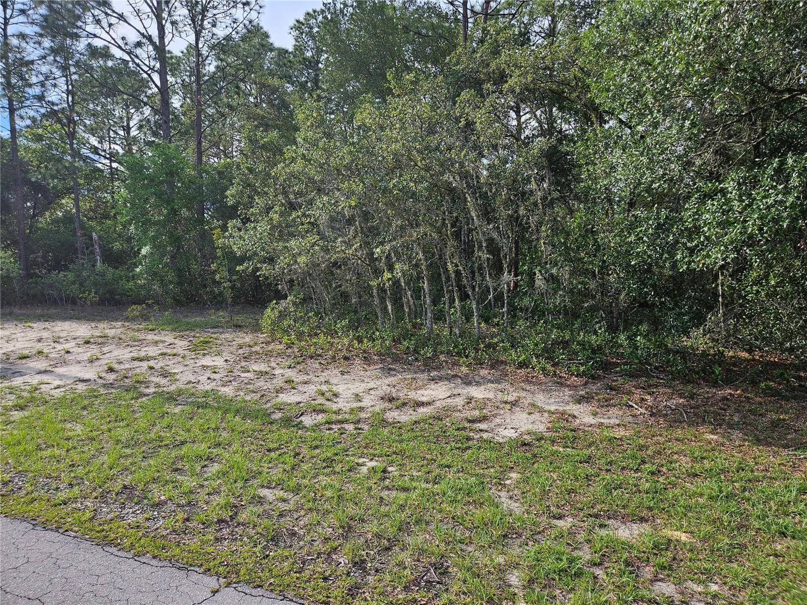 Ocala, FL 34473,TBD SW 128 LOOP