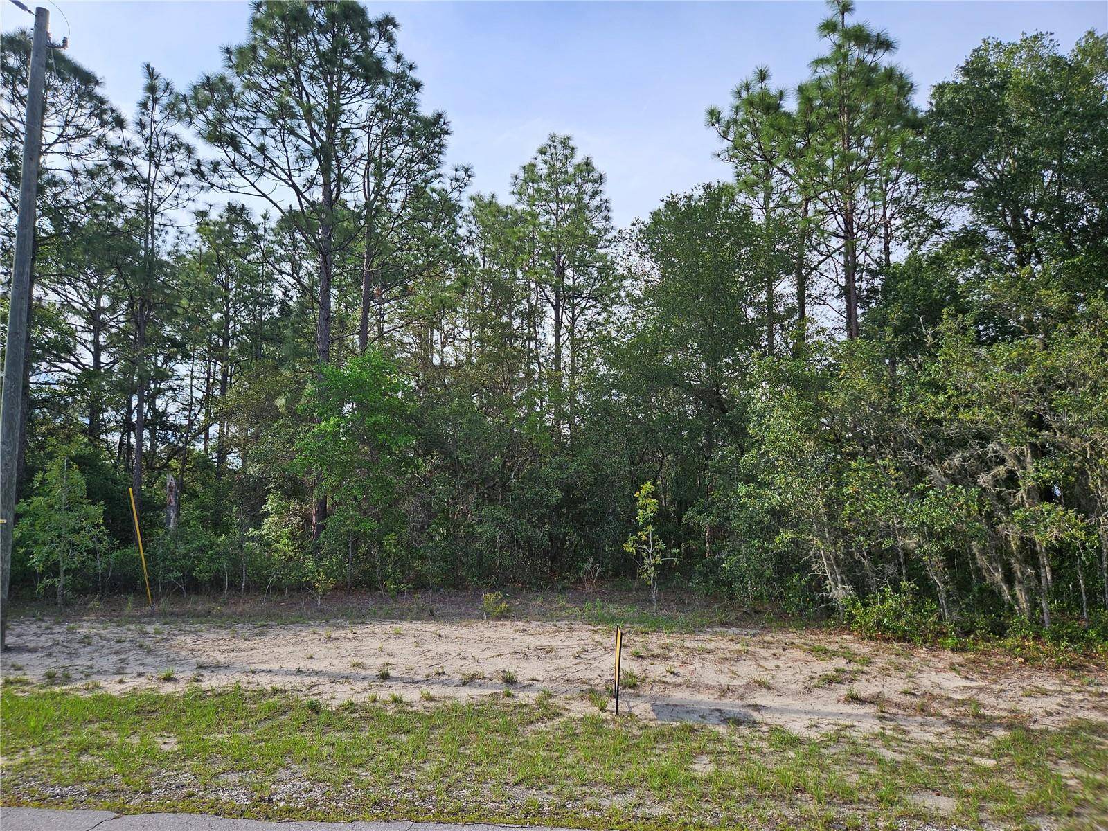 Ocala, FL 34473,TBD SW 128 LOOP