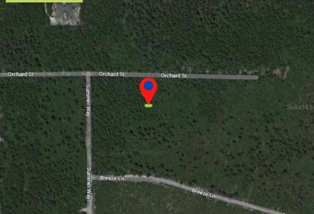 Florahome, FL 32140,207 ORCHARD ST