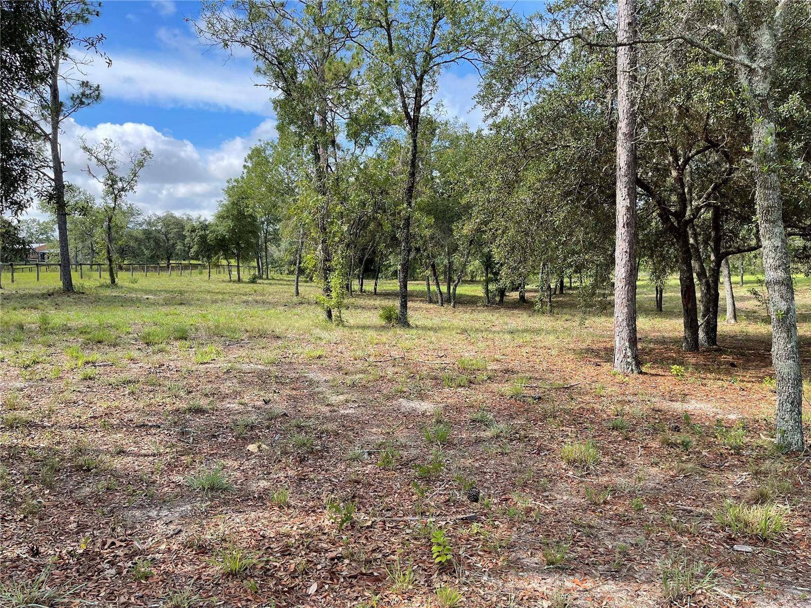 Morriston, FL 32668,Lot 5 SE 23 PL