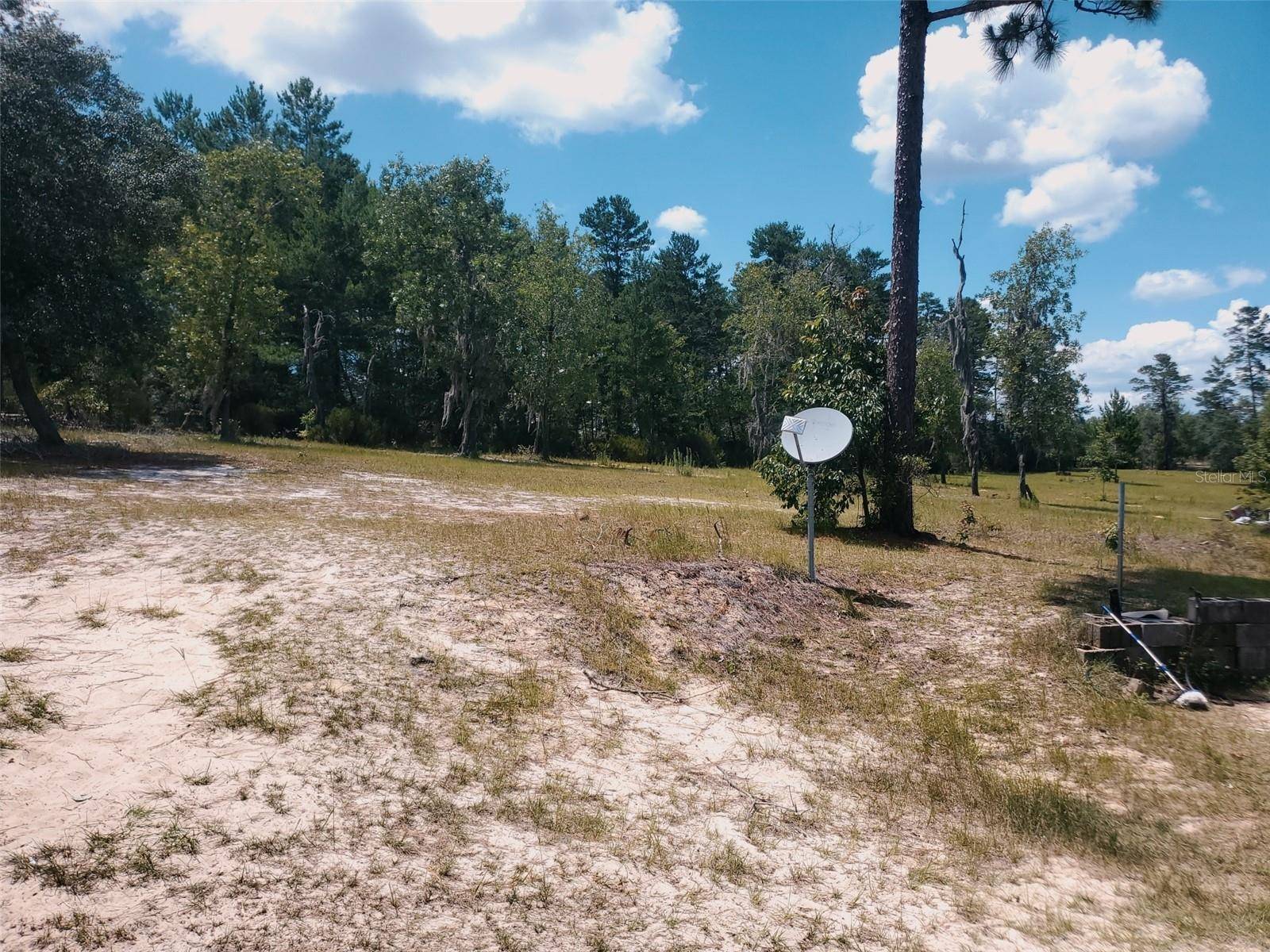 Archer, FL 32618,19717 SW 179TH PL