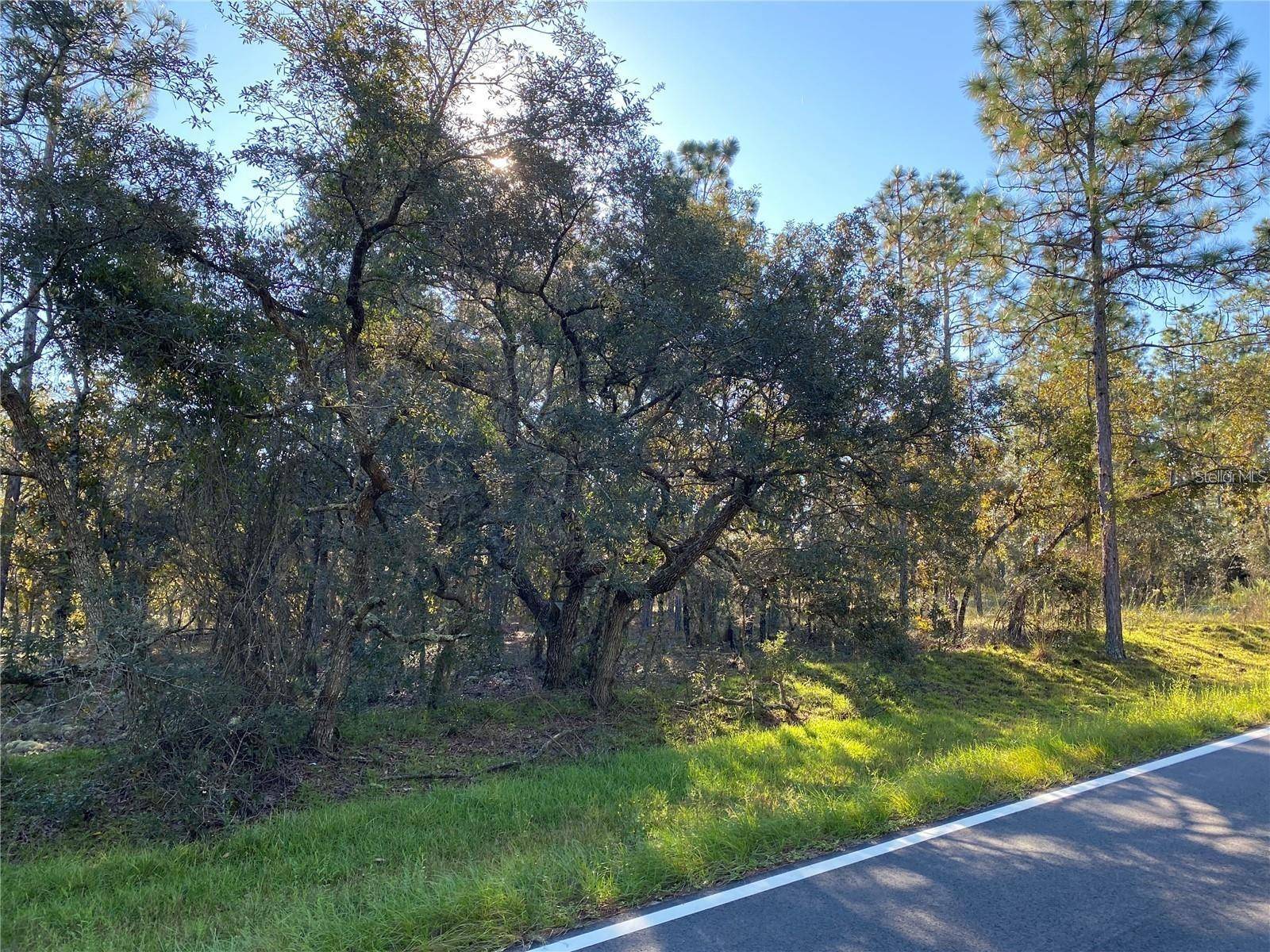 Dunnellon, FL 34431,00 SW RIDGEWOOD RD