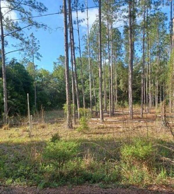 Dunnellon, FL 34432,TBD SW CORNER SW95 AVE\SW 158 LN