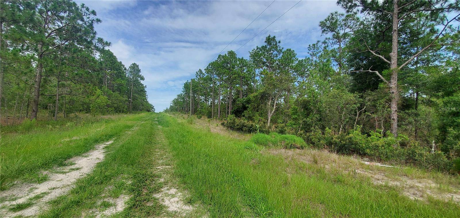 Ocala, FL 34481,TBD SW 67TH LN