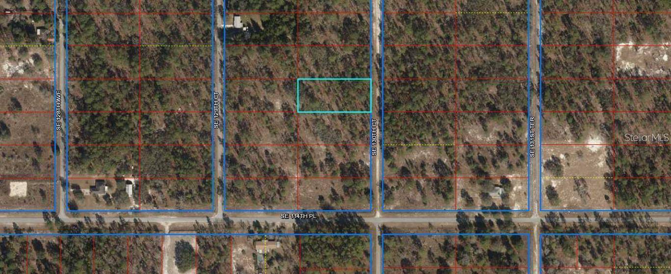 Dunnellon, FL 34431,LOT 11 SE 130TH COURT