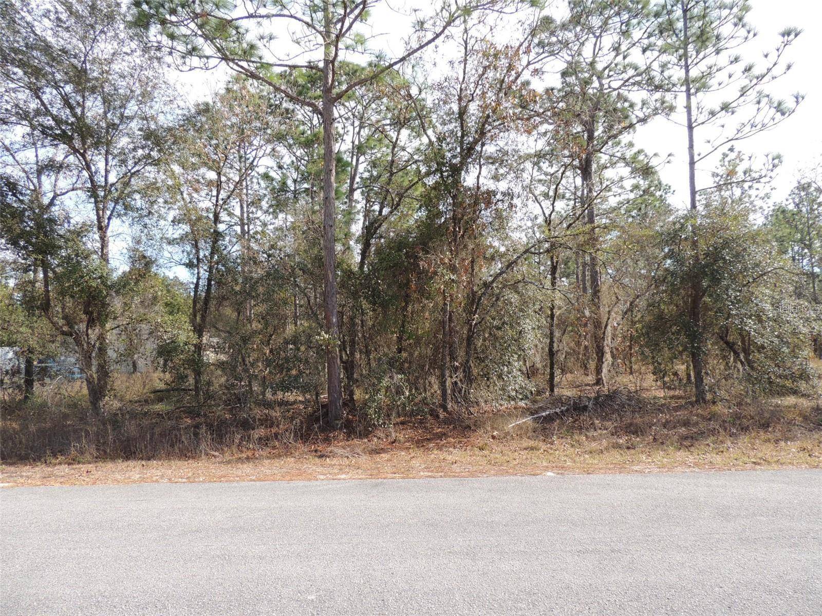 Dunnellon, FL 34431,00 SE 126TH TER