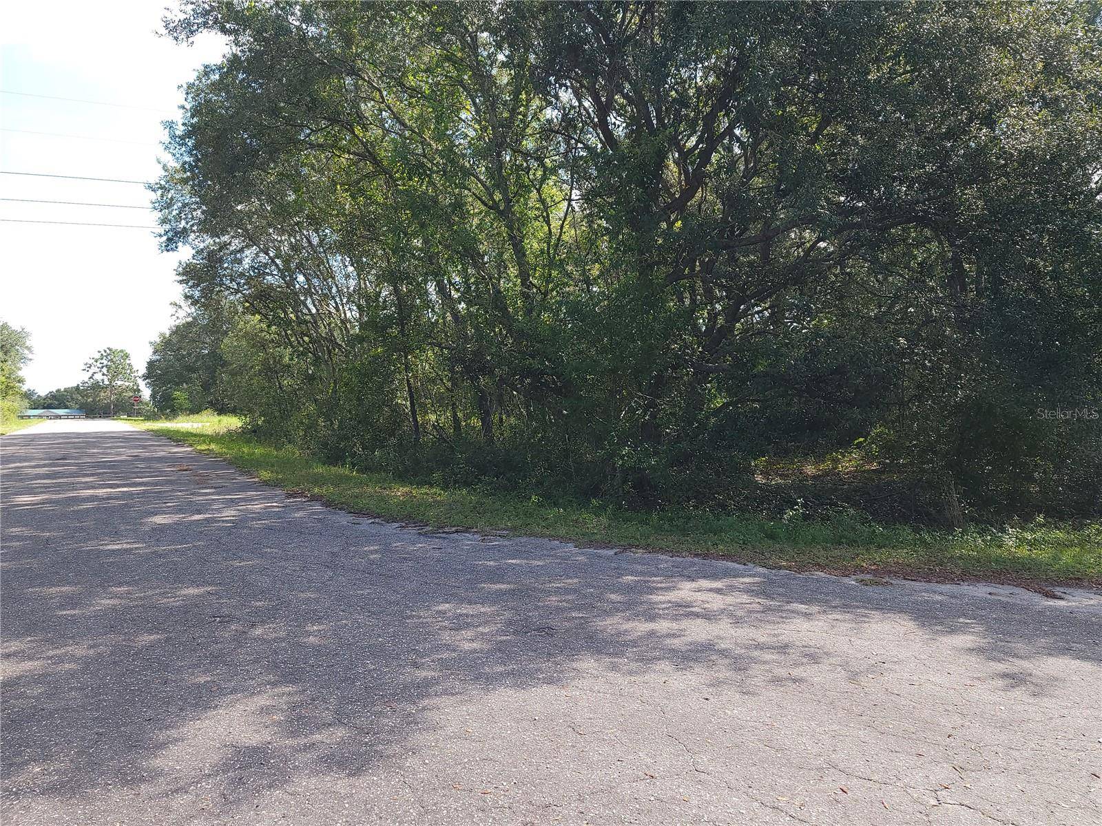 Ocklawaha, FL 32179,Lot 20 SE FISHER LANE PASS