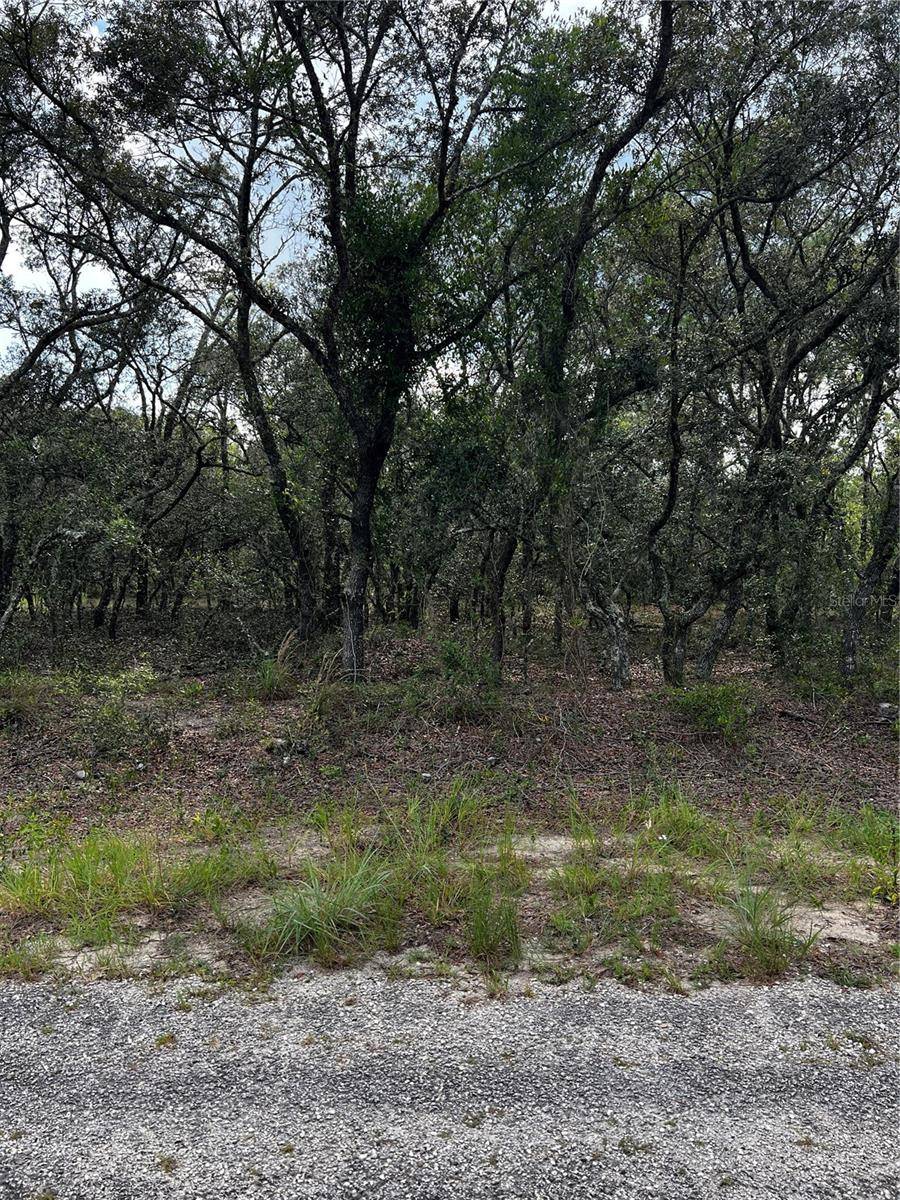 Dunnellon, FL 34431,00 SE 132 CT