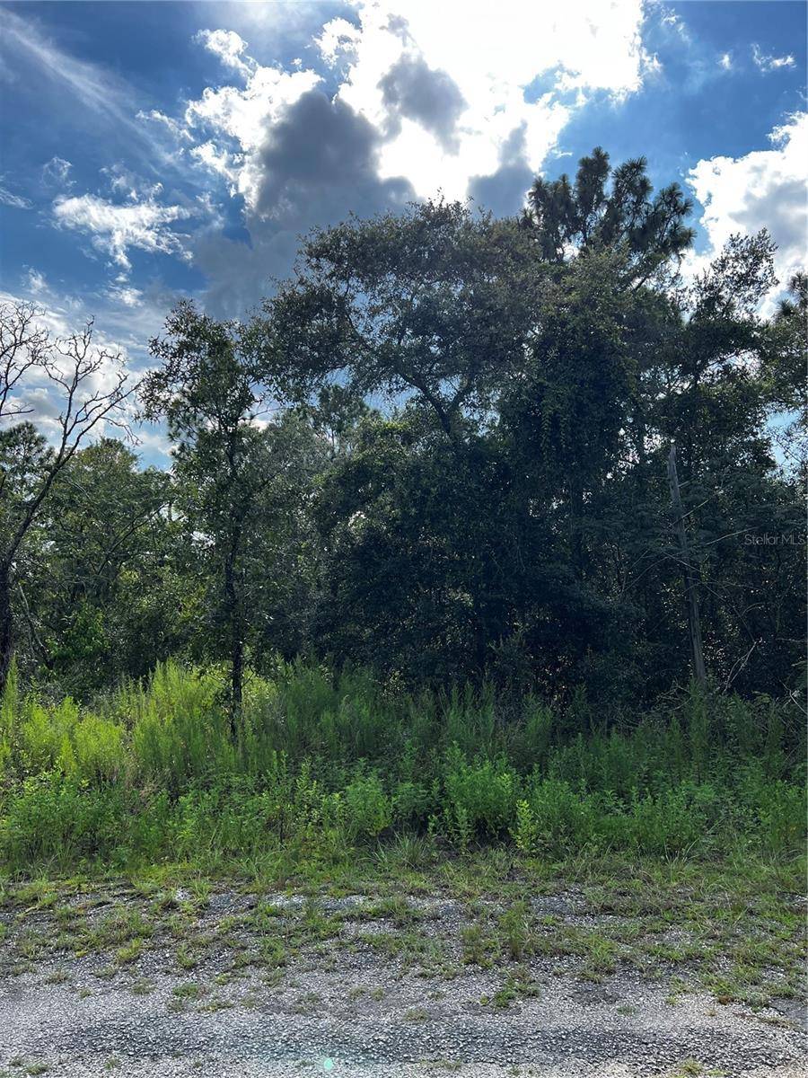 Dunnellon, FL 34431,00 SE 135 CT