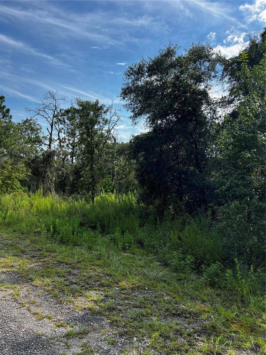 Dunnellon, FL 34431,00 SE 135 CT