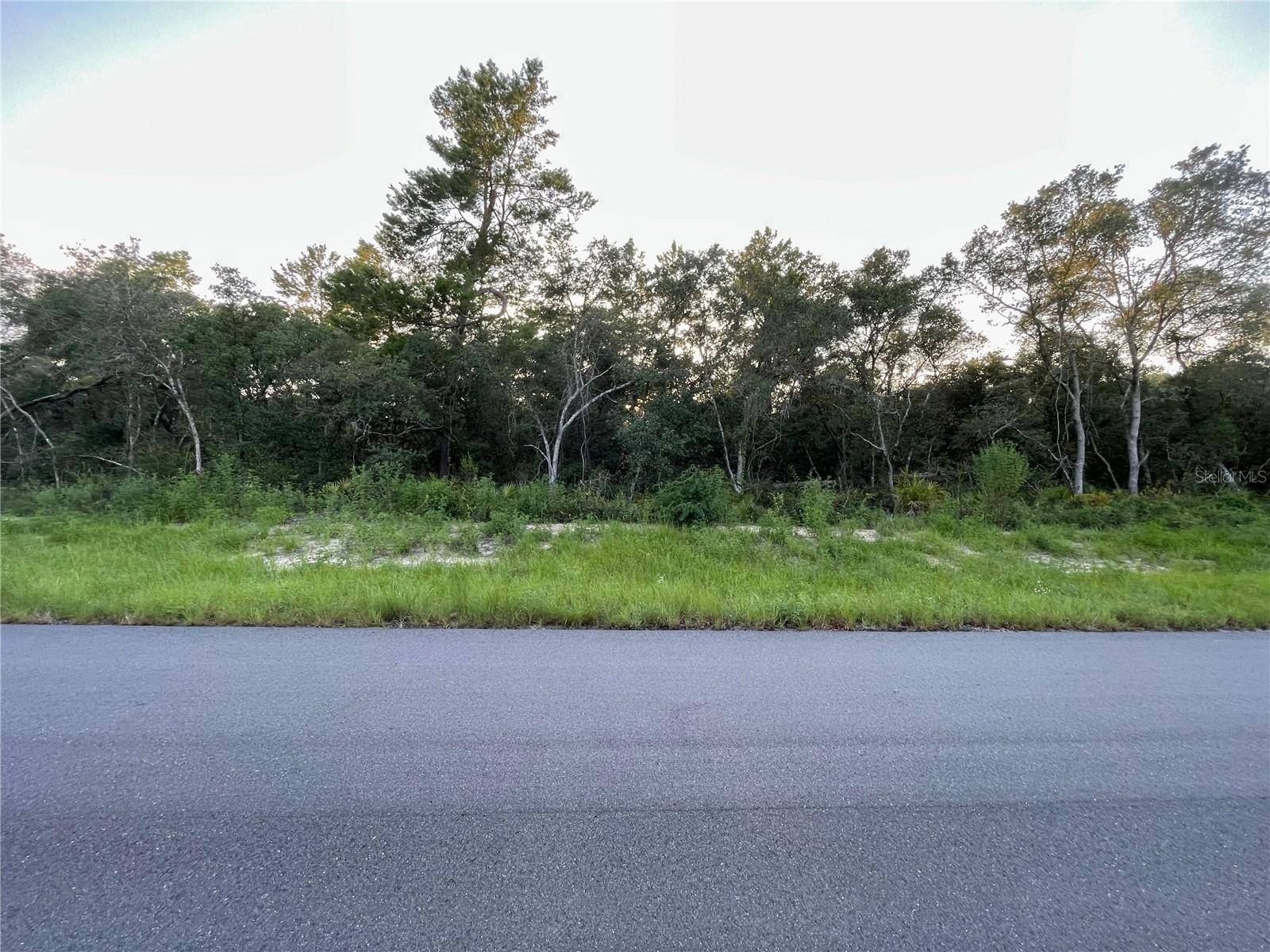 Ocala, FL 34473,TBD SW 29TH TER