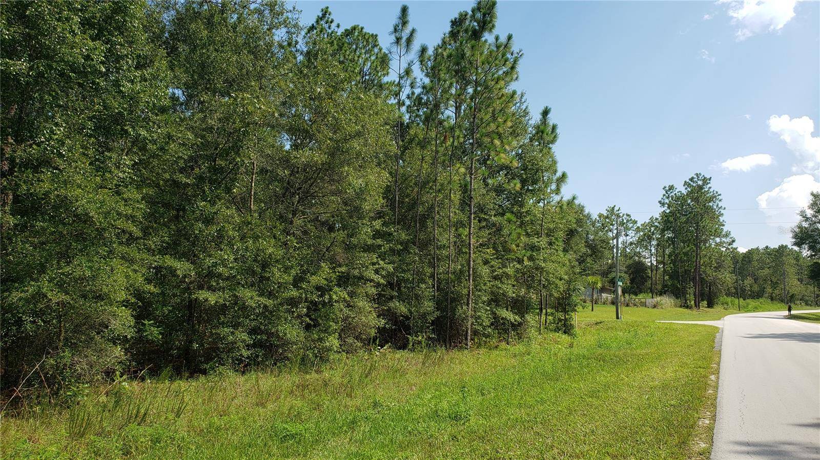 Ocala, FL 34481,00 129TH TERR RD