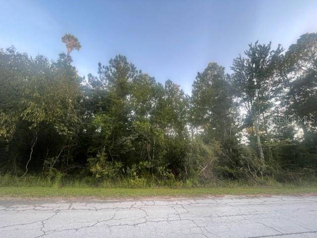 Crystal River, FL 34429,8400 W MAYO DR