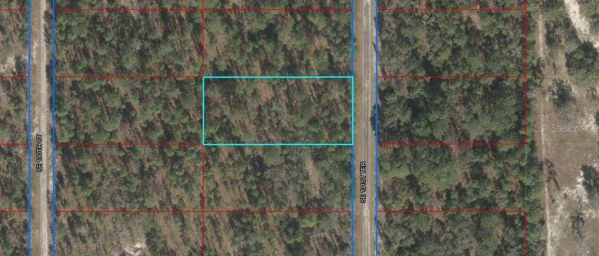 Dunnellon, FL 34431,00 SE 131ST TER