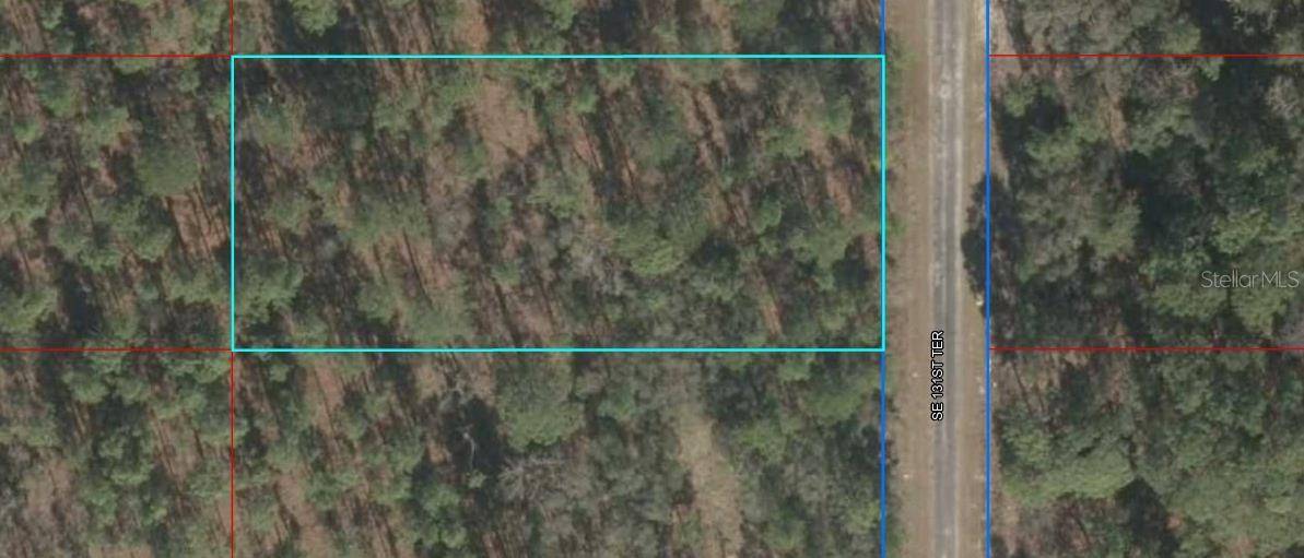 Dunnellon, FL 34431,00 SE 131ST TER