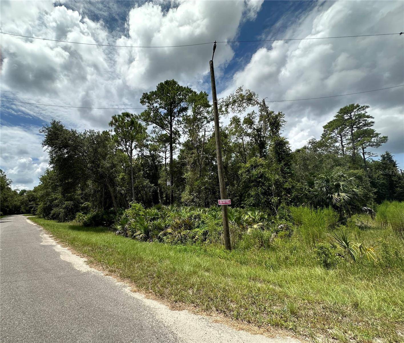 Ocklawaha, FL 32179,TBD SEQUOIA DRIVE TRACE