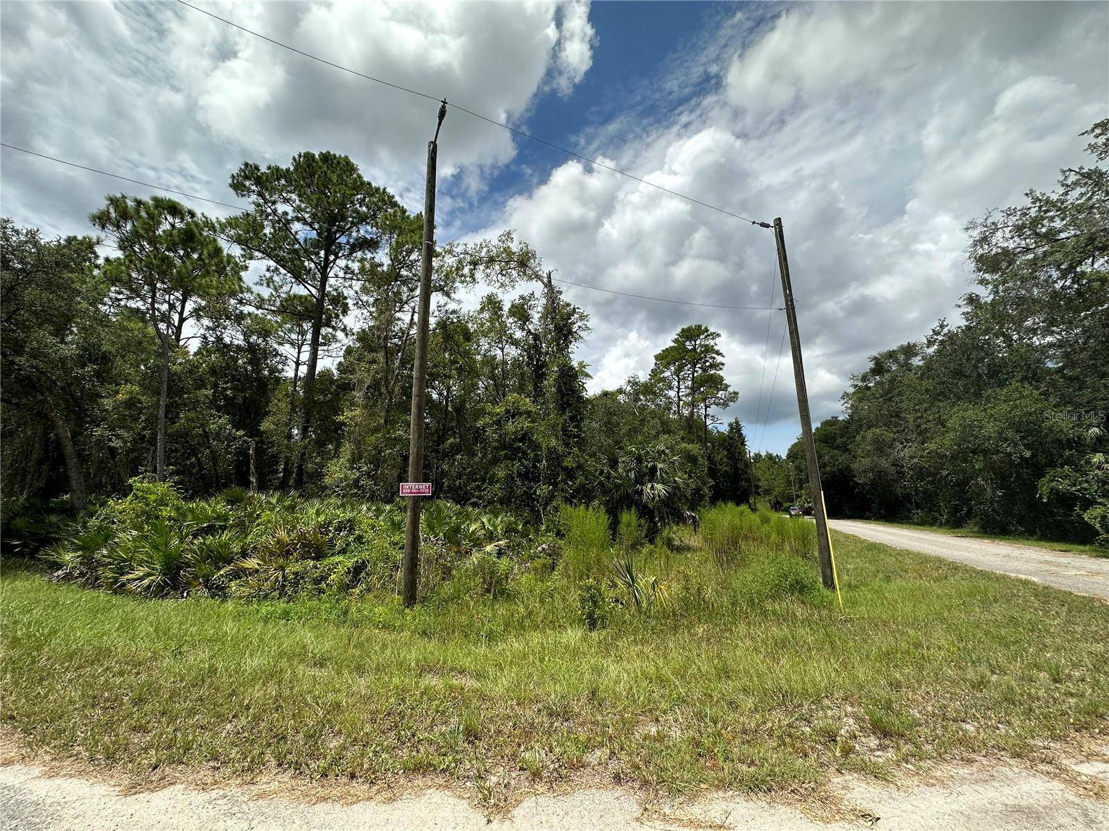 Ocklawaha, FL 32179,TBD SEQUOIA DRIVE TRACE