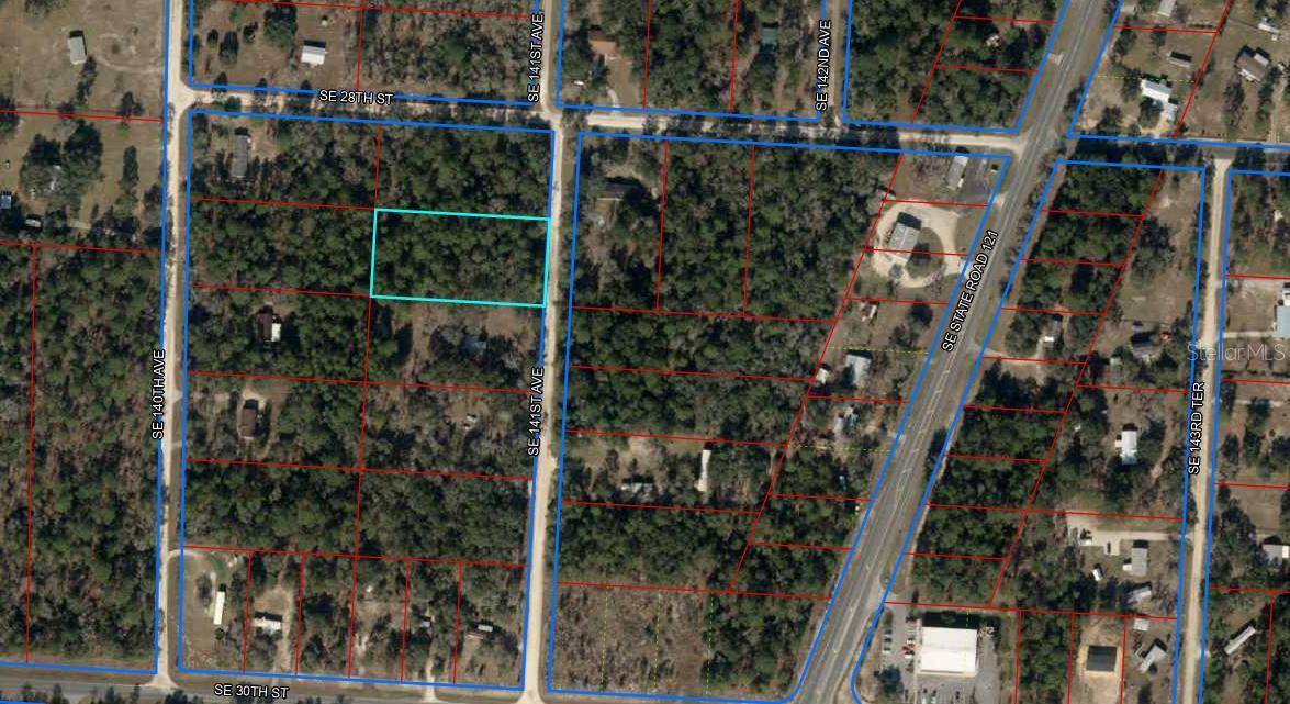 Morriston, FL 32668,2830 SE 141ST AVE