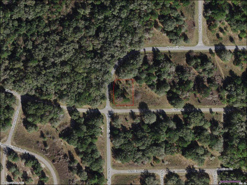 Citrus Springs, FL 34434,817 E NOAH LN