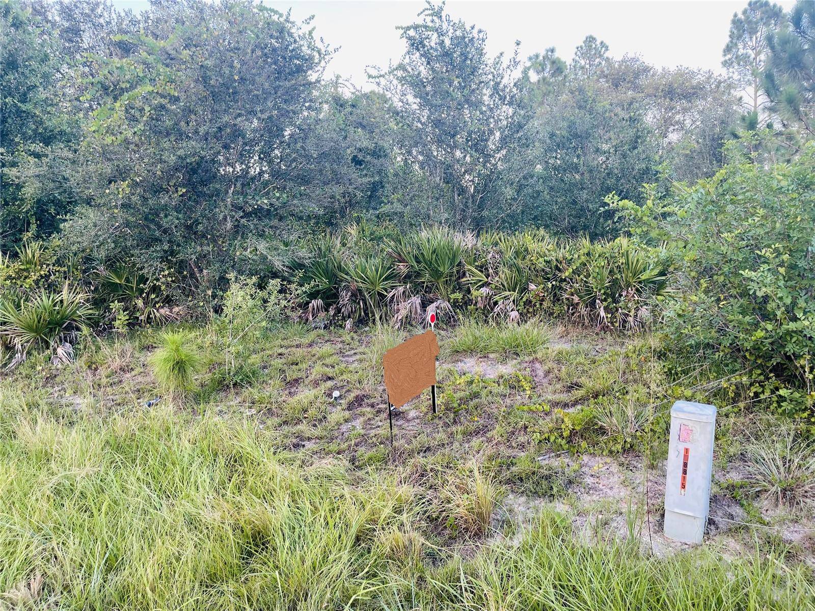 Lehigh Acres, FL 33972,916 RICHMOND AVE N